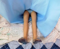 cinderella 18 legs